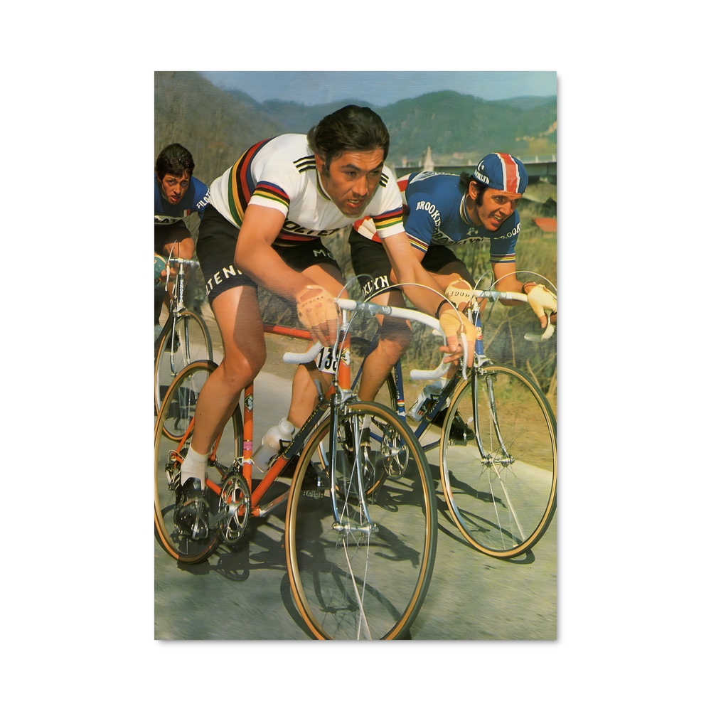Poster Roger vlaeminck – affiche Cyclisme